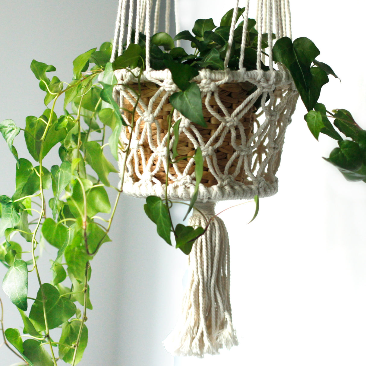 Macramé Planteophæng Til To Potteplanter