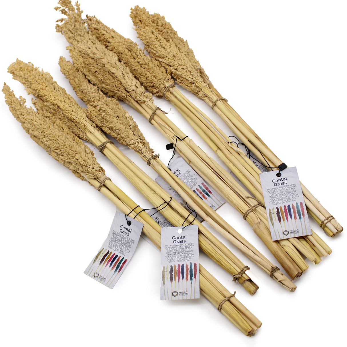 Set de 6 bouquets d’herbes cantal séchées naturelles