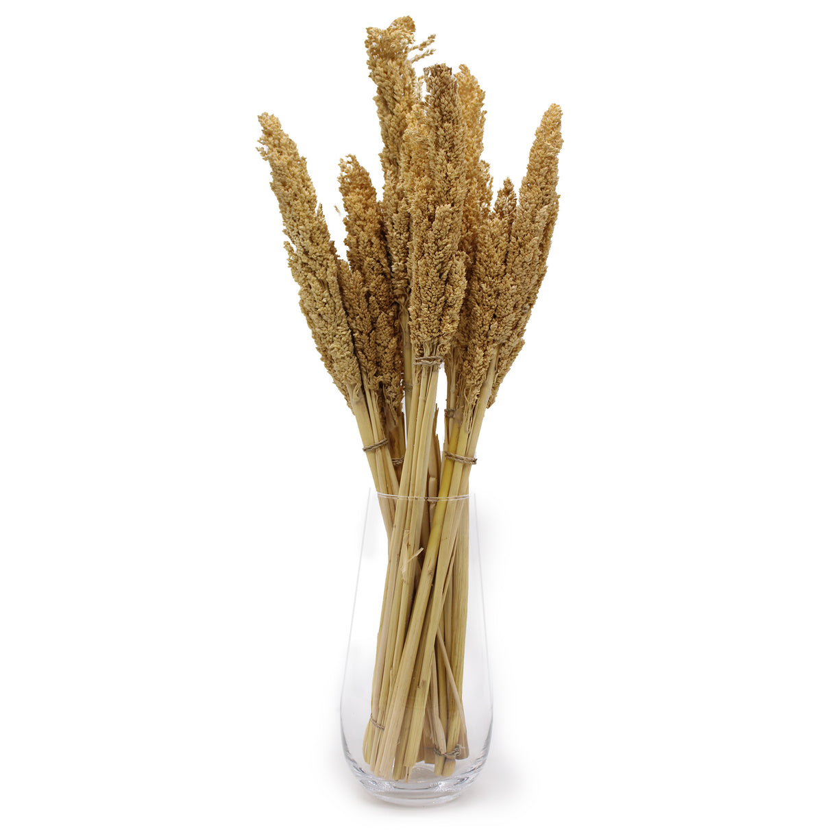 Set de 6 bouquets d’herbes cantal séchées naturelles