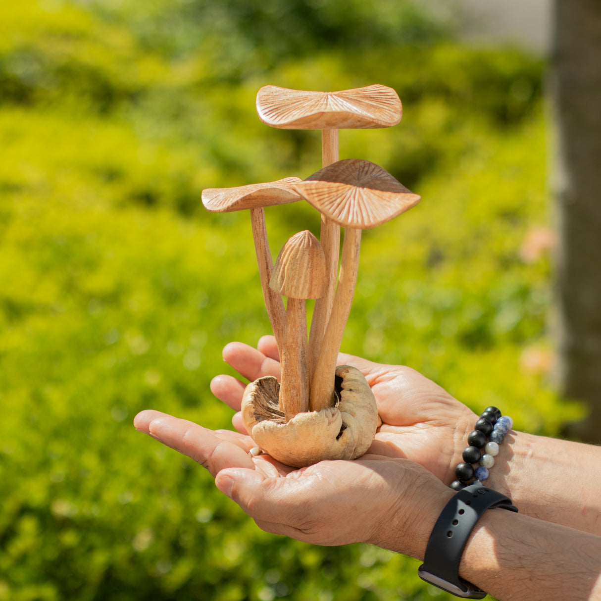 Handgeschnitzte Parasiten-Holzkunst – Set mit 4 großen Pilzen
