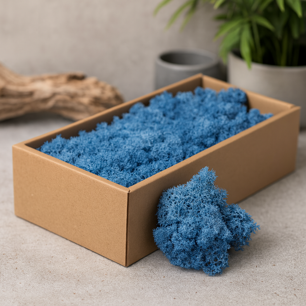 Muschio di Renna Blu 500g Conservato