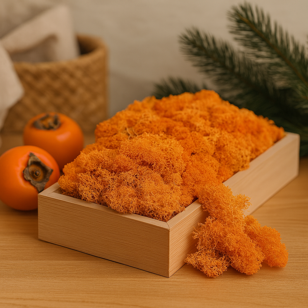 Muschio di renna arancione conservato 500g