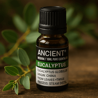 Eukaliptusz illóolaj 10 ml