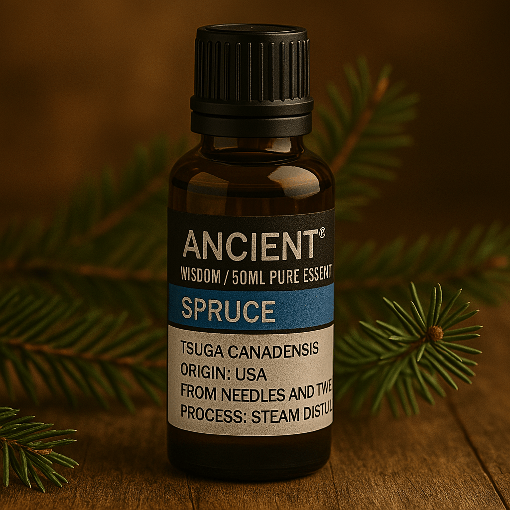 50ml amber glass bottle of pure Spruce Essential Oil with black cap, labeled and set against spruce branches.
