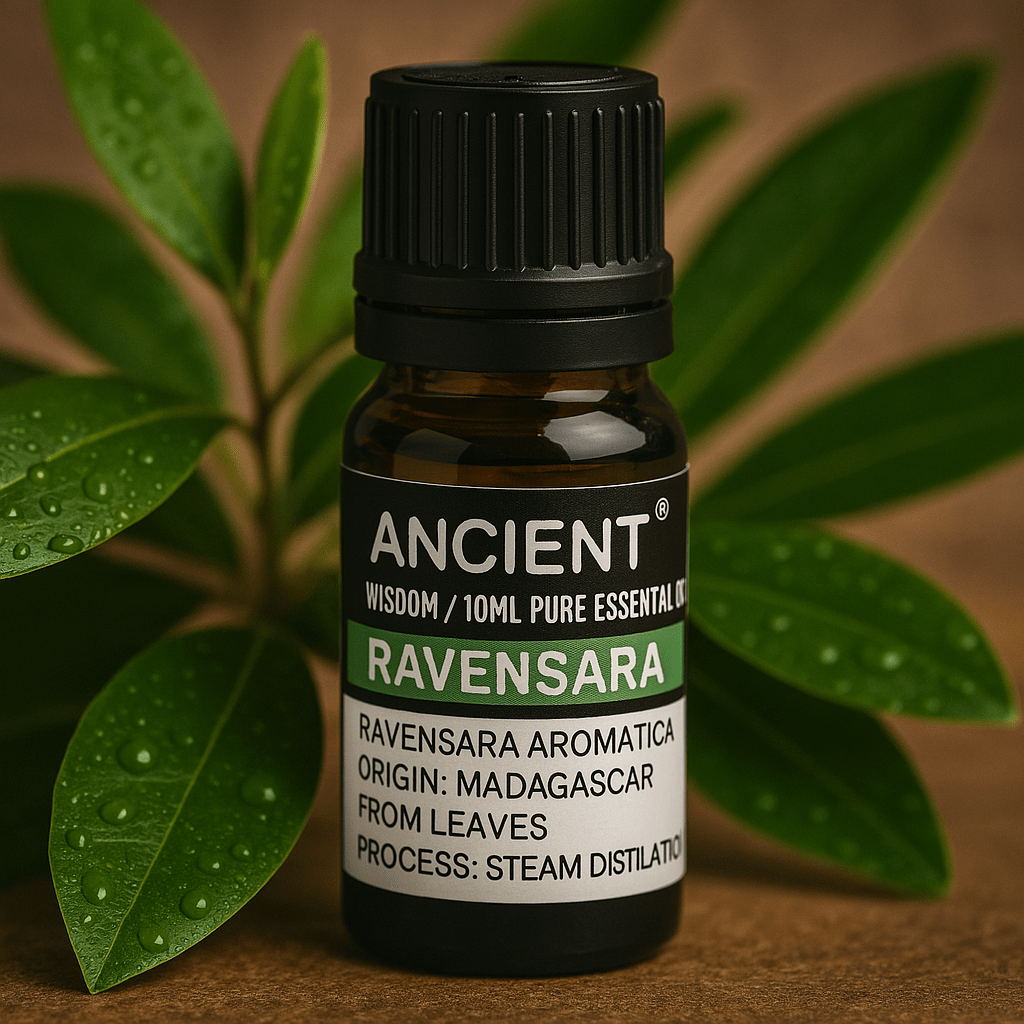 Ravensara essentiële olie 10ml Madagaskar stoomgedistilleerd