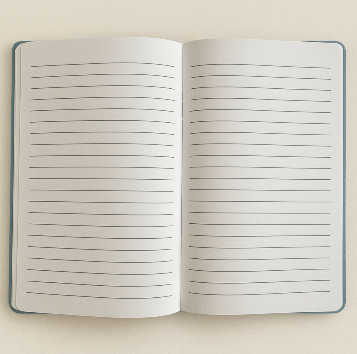 Light Blue Velvet Notebook 80 Pages Embrace The Journey