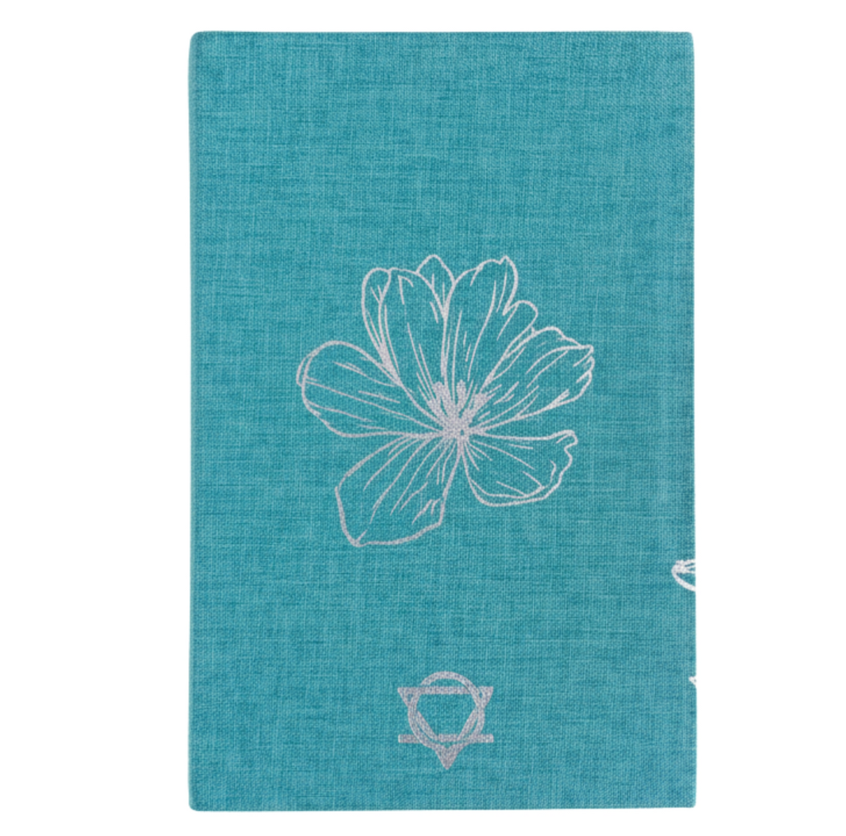 Blue Gratitude Journal With Silver Lining 120 Pages I Am Thankful For