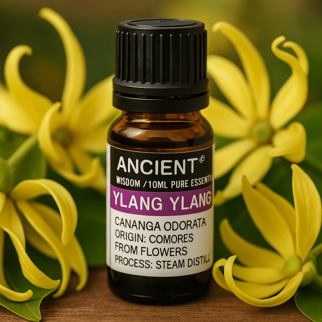 Ylang Ylang Essential Oil Steam Distilled 10 ml