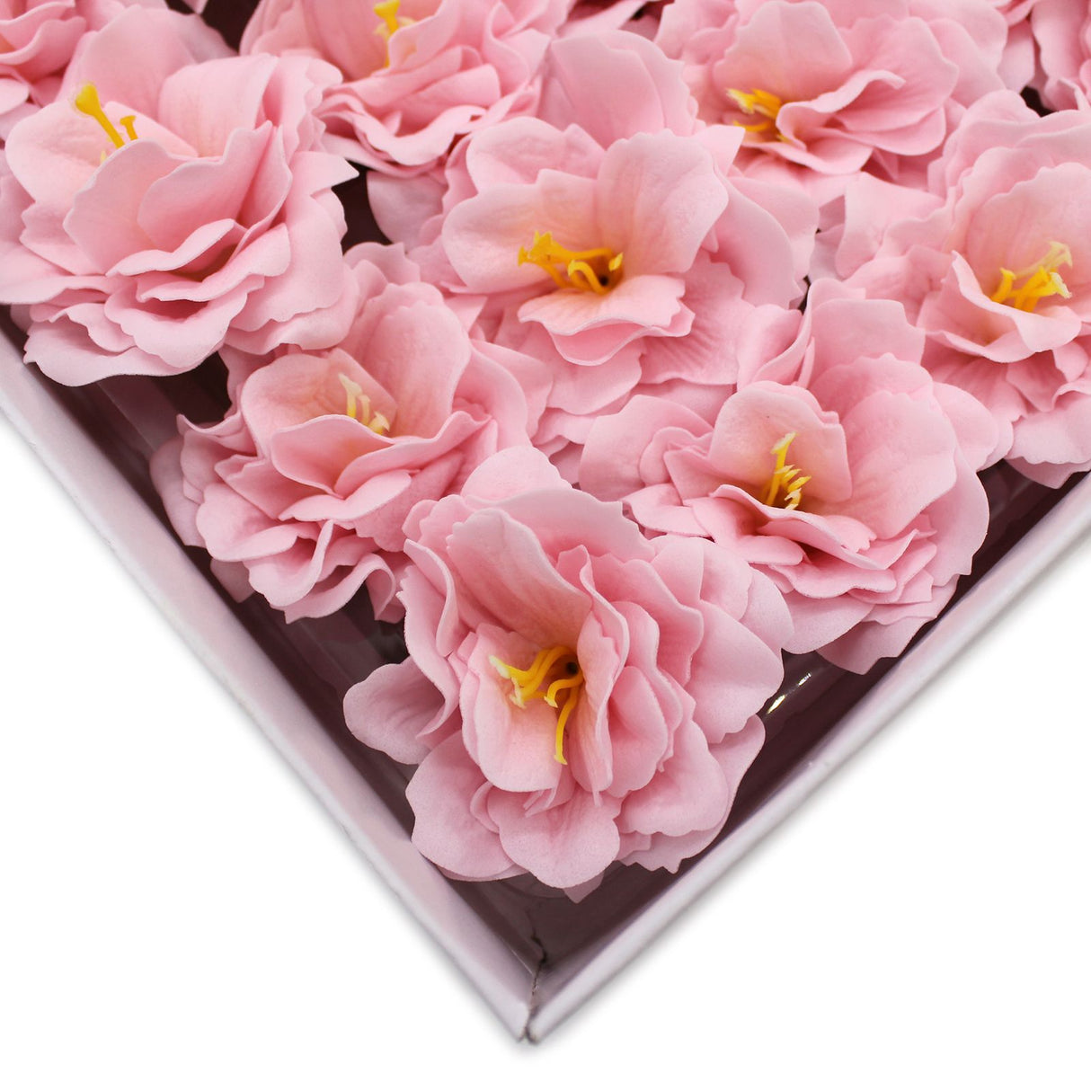 Sæbeblomster Pæon Lille Pink – 10 Stykker