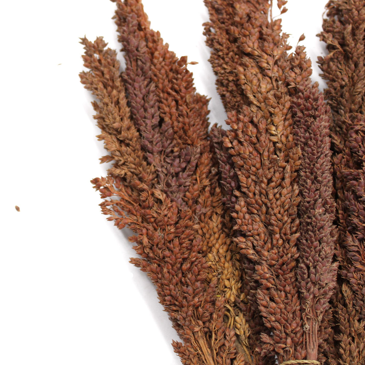 Cantal Grass Bunch Chocolate – Set of 6
