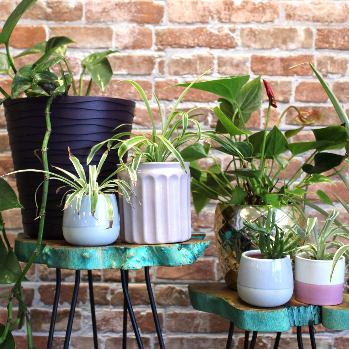 Sada 3 stojanov na rastliny z dreva Gamal s zeleným náterom