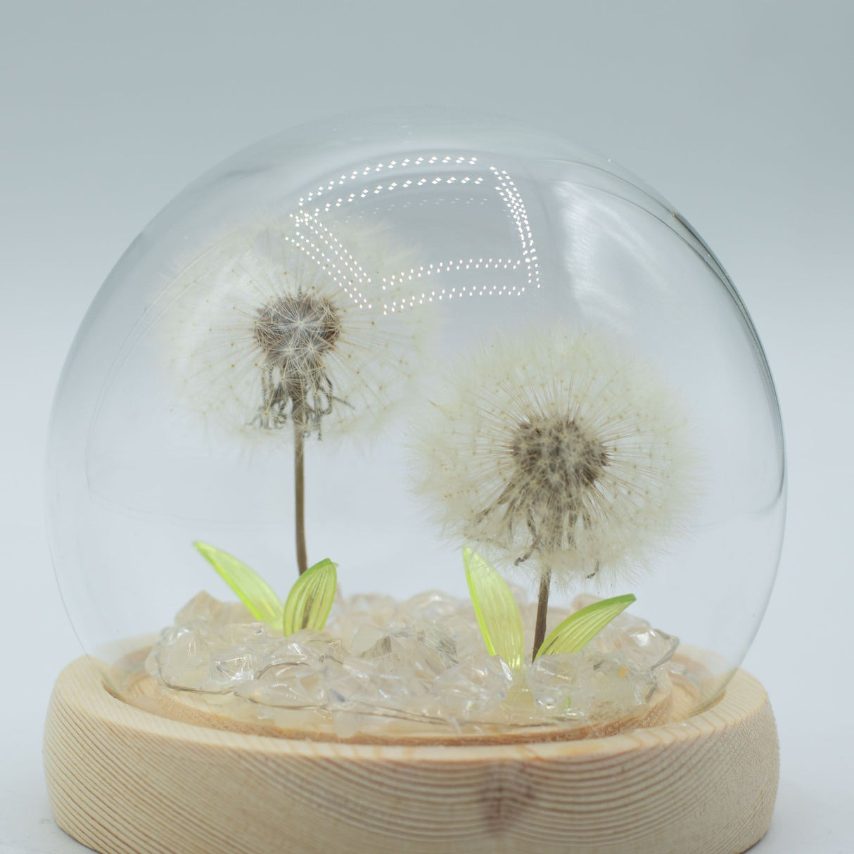 Floral Glow Garden Dome – 2 Dandelions – LED USB