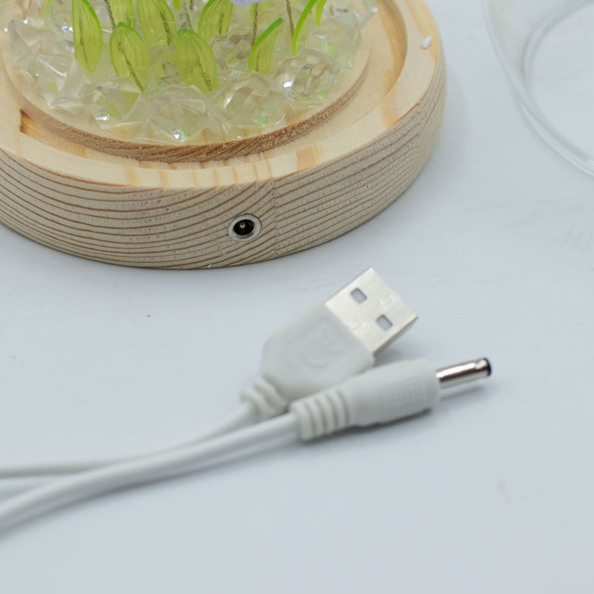 Floral Glow Garden Dome – 20 Tulips – LED USB