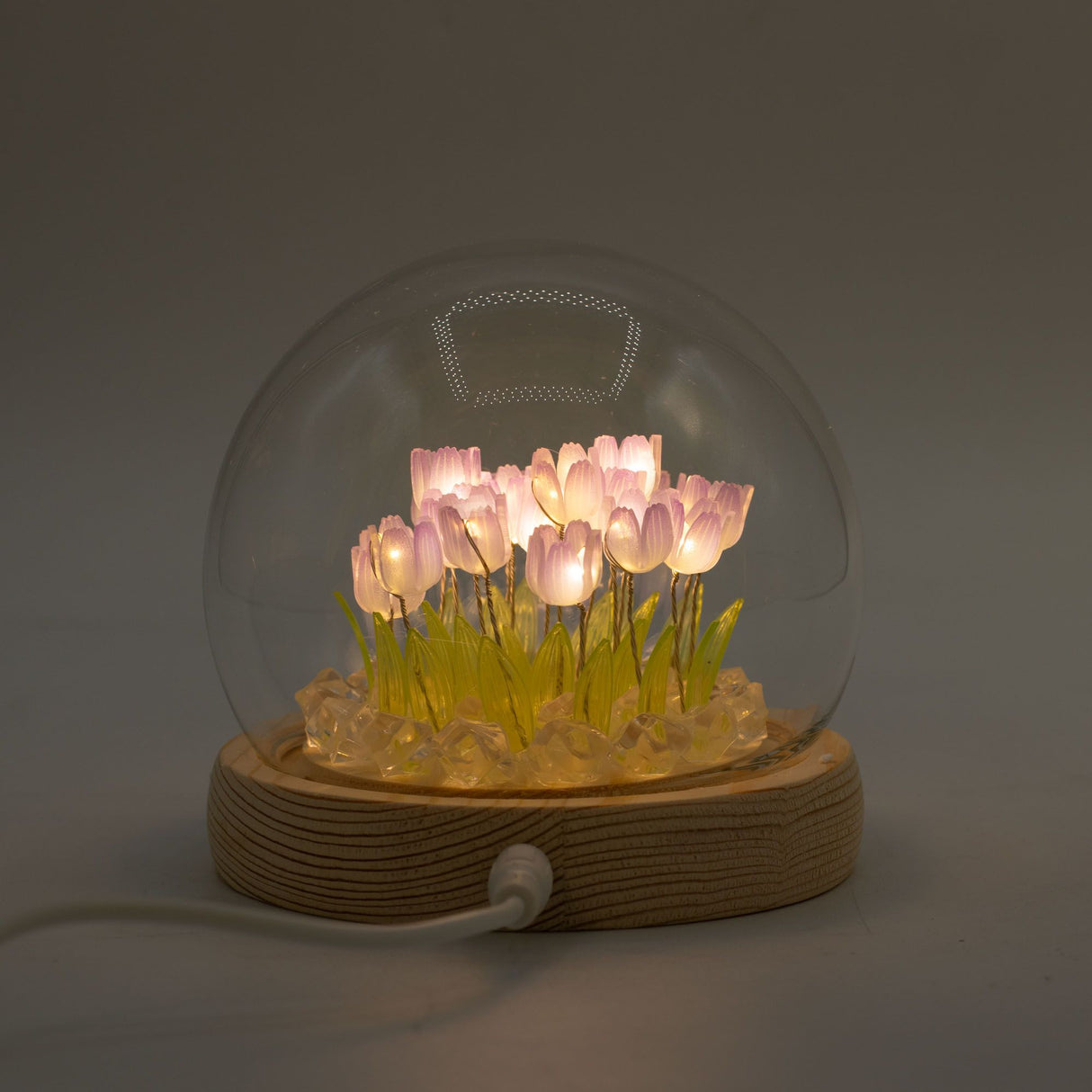 Floral Glow Garden Dome – 20 Tulips – LED USB