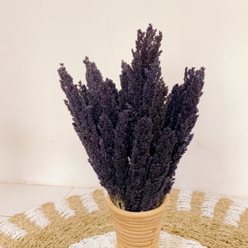 Dried Cantal Grass Bunch Black 6 Pieces