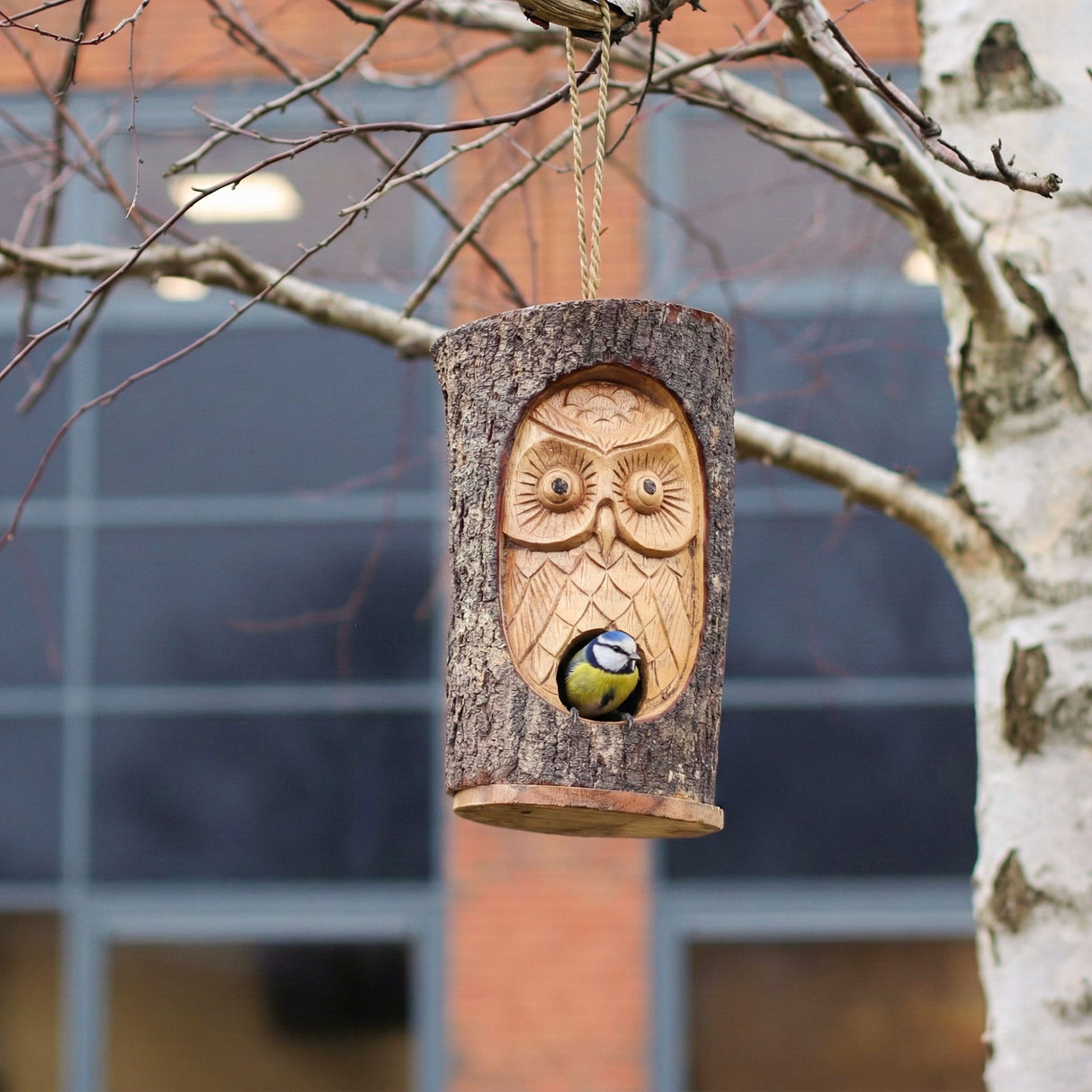 Tronc d’arbre visage – Nichoir – Chouette sage