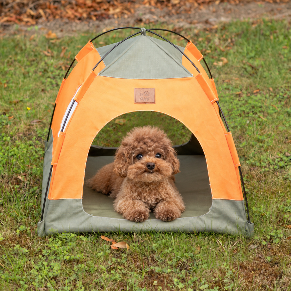 PAW Bed – Green & Orange Tent – 48 × 48 × 40 cm