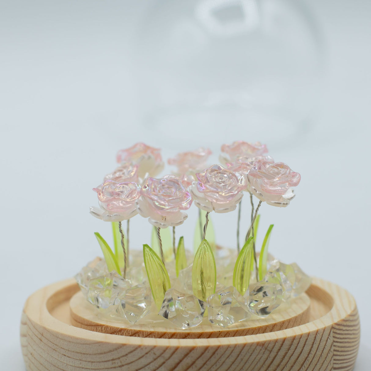 Floral Glow Garden Dome – 10 Pink Roses – LED USB