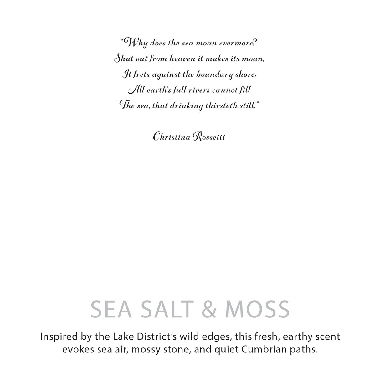 Agnes + Cat botanická sójová sviečka – Morská soľ a mach