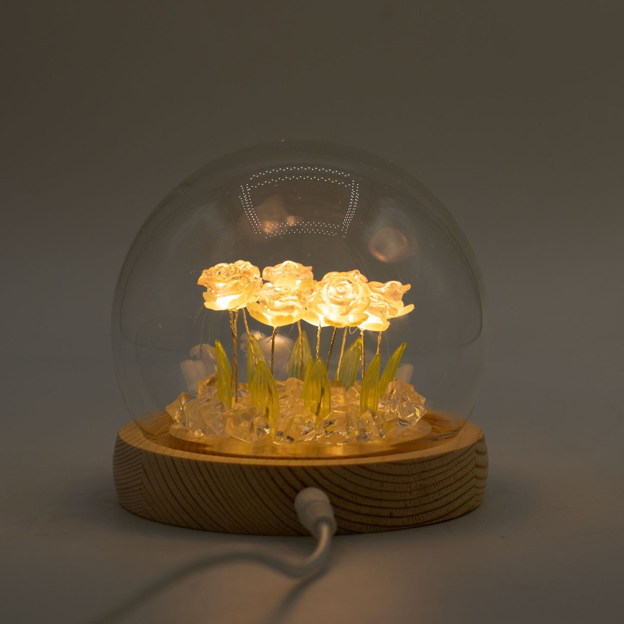 Floral Glow Garden Dome – 10 Pink Roses – LED USB