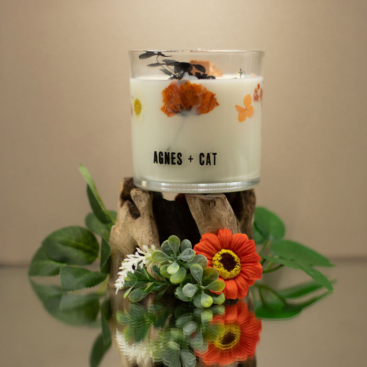 Agnes + Cat Botanical Soy Wax Candle – Lakeland Mocha