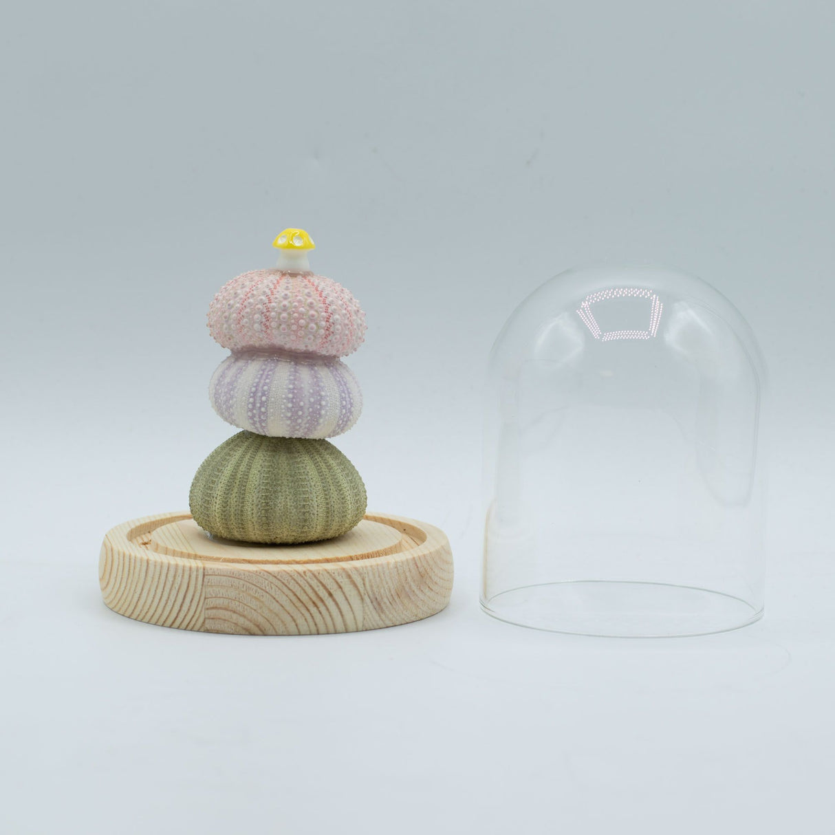 Floral Glow Garden Dome – 3 Sea Urchins – LED USB