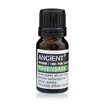Ravensara Essential Oil 10ml Madagascar Steam Distilled