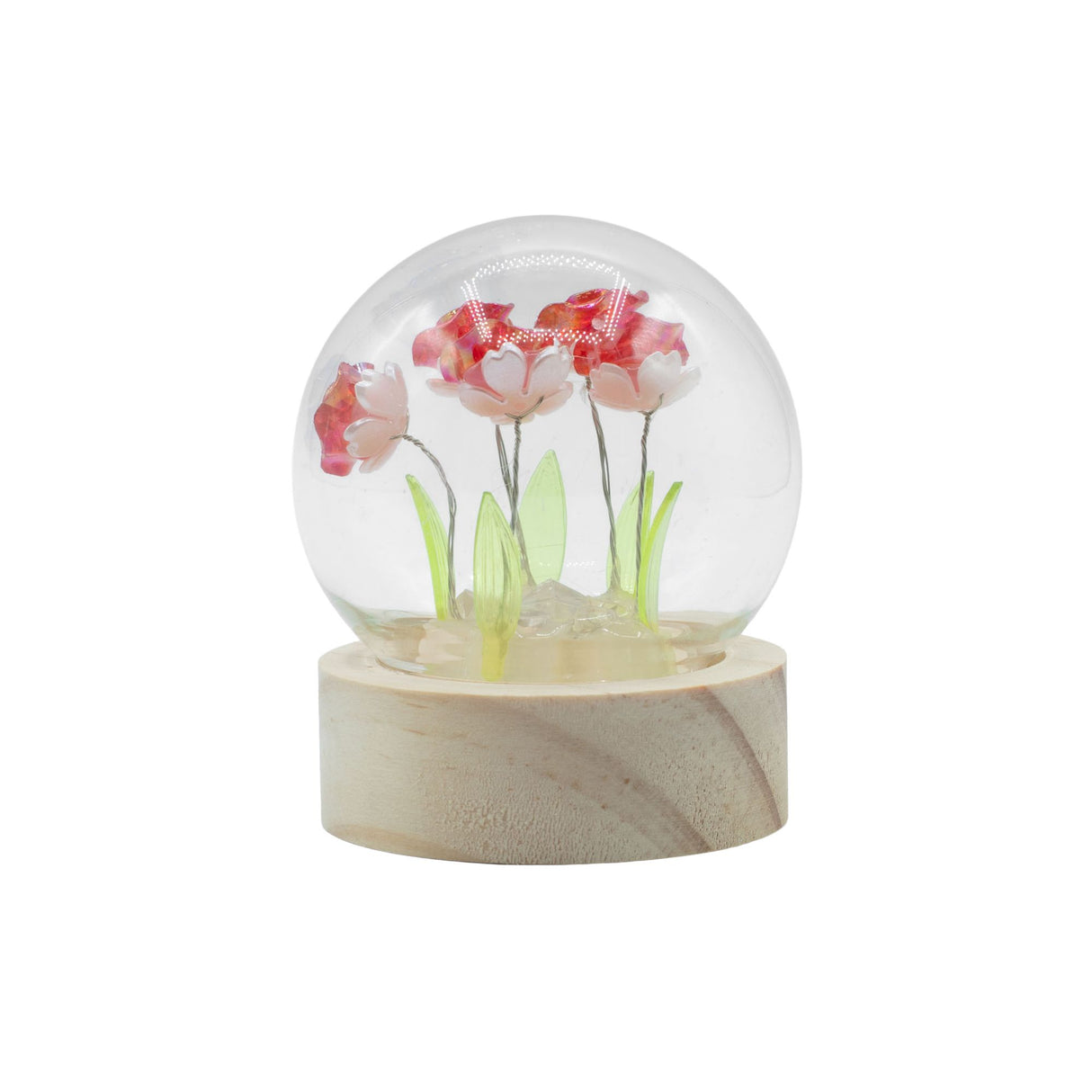 Floral Glow Garden Dome – 5 Red Roses – LED Battery