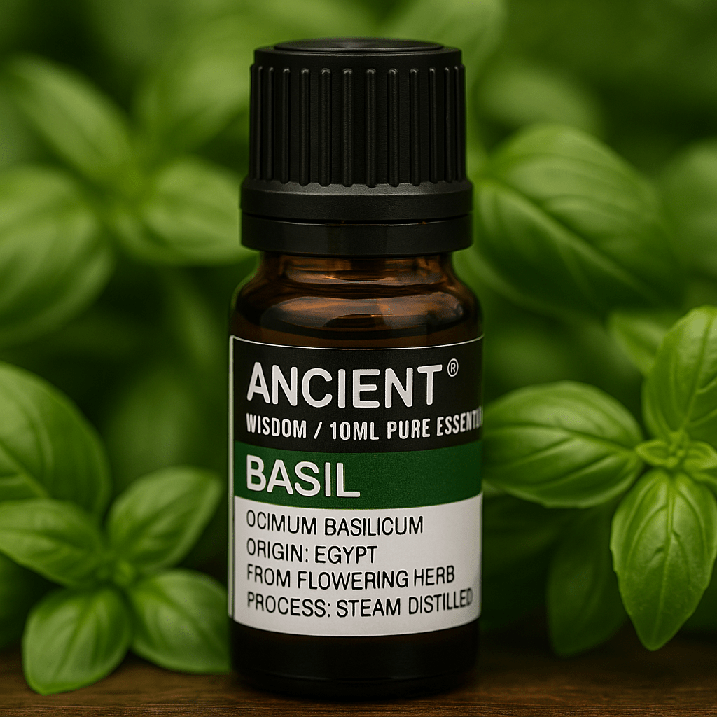 Basil Essential Oil 10 ml - SHAMTAM.COM