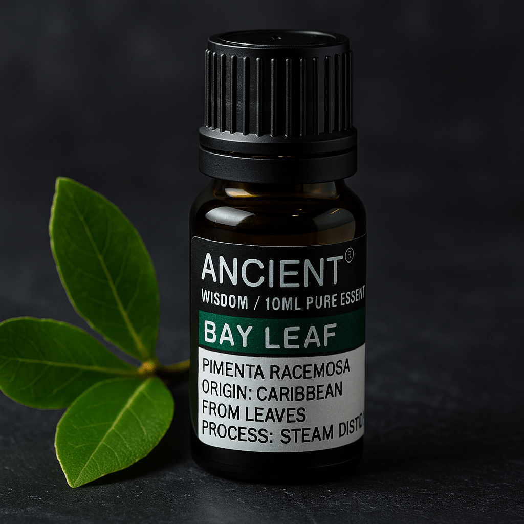 Bay Leaf Essential Oil 10 ml - SHAMTAM.COM