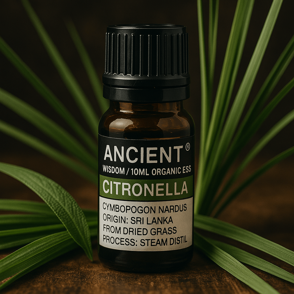 Citronella Essential Oil Organic 10ml - SHAMTAM.COM