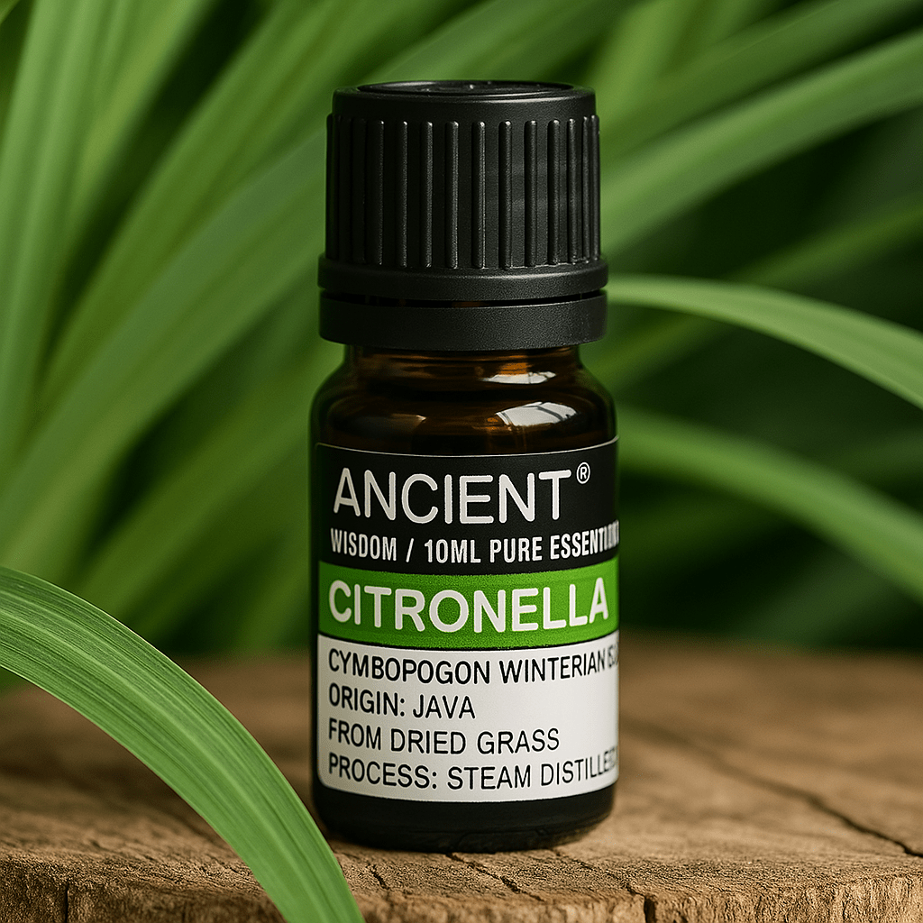 Citronella Essential Oil 10 ml - SHAMTAM.COM
