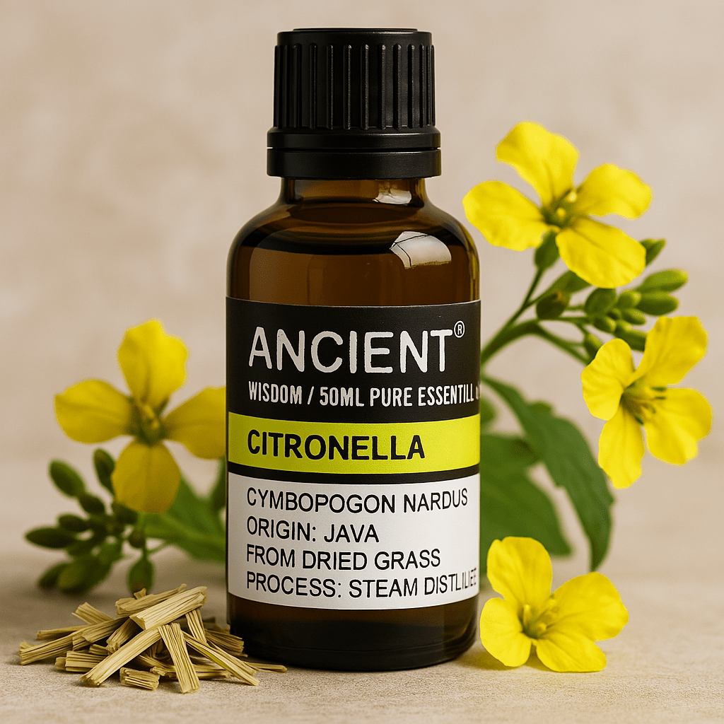 Citronella Essential Oil 50ml - SHAMTAM.COM