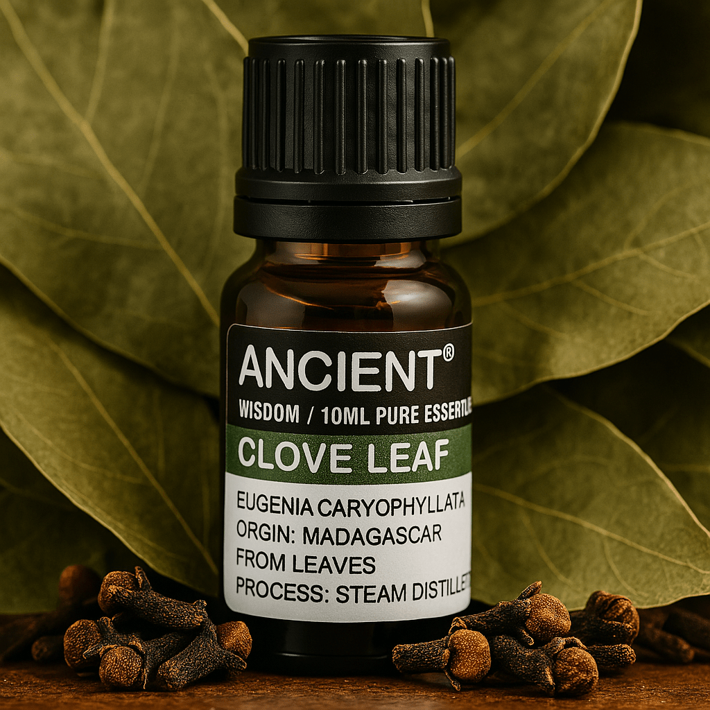 Clove Leaf Essential Oil 10 ml - SHAMTAM.COM