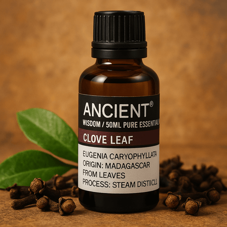 Clove Leaf Essential Oil 50ml - SHAMTAM.COM