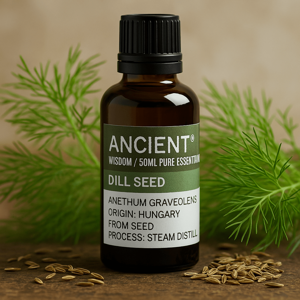 Dill Seed Essential Oil 50ml - SHAMTAM.COM