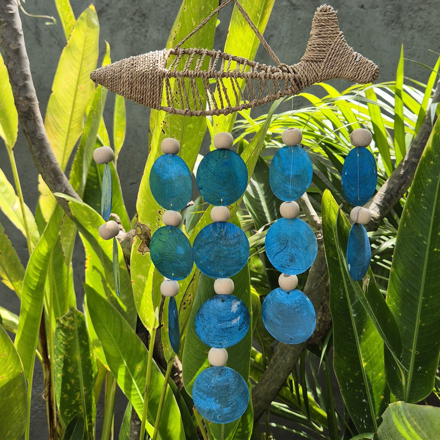 String Fish and Blue Copis Drop - SHAMTAM.COM