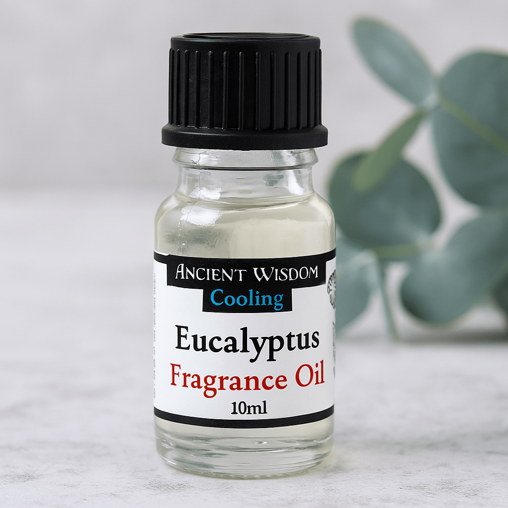 Eucalyptus Fragrance Oil 10ml - SHAMTAM.COM
