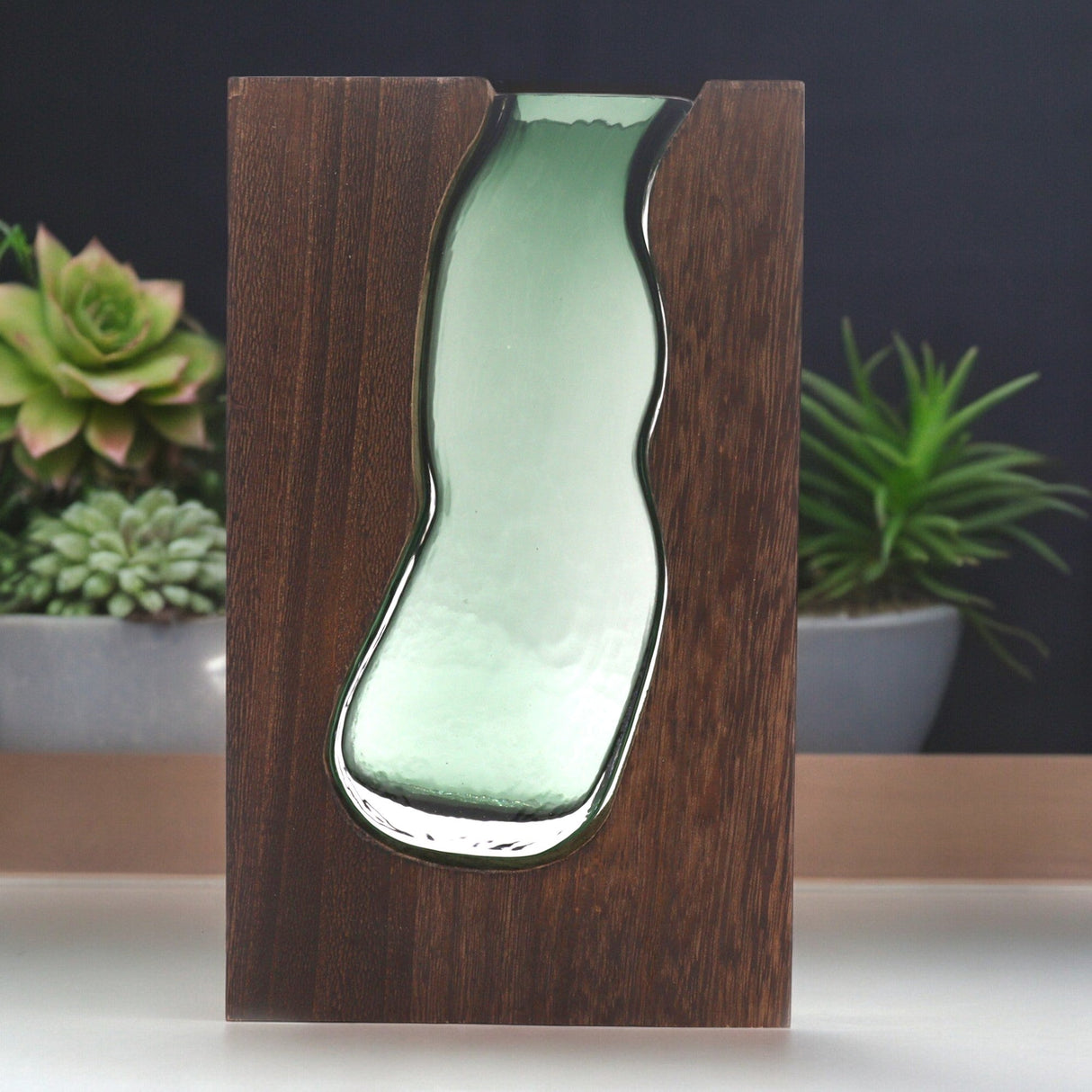 Glass Vase/Terarium inside Dark Tung Wood - SHAMTAM.COM