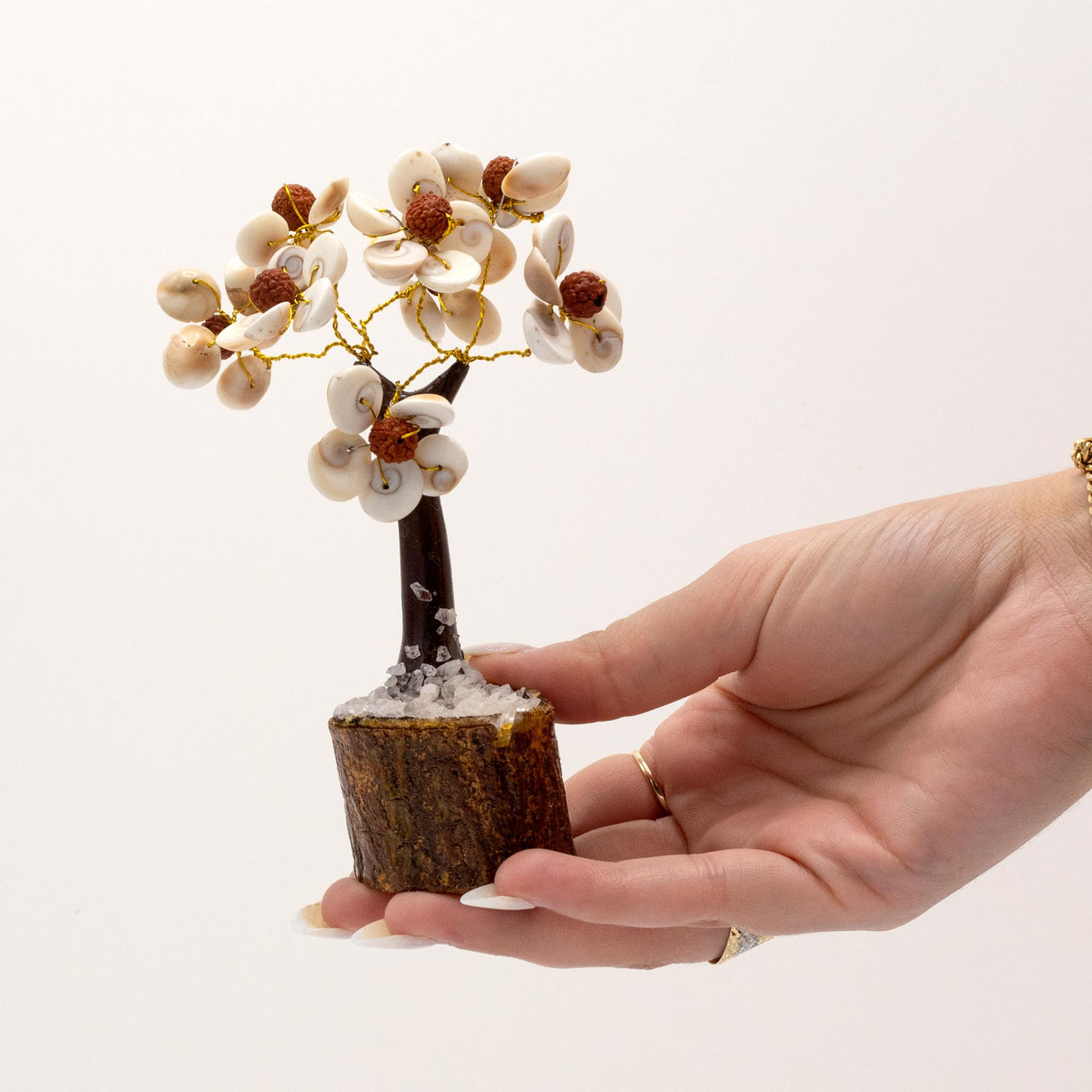 Handcrafted Gomati Chakra Stone Tree with Rudraksha Beads - 45 Sacred Stones for Prosperity & Spiritual Protection - SHAMTAM.COM