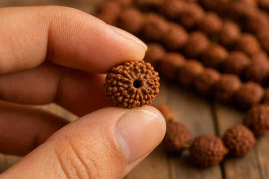 Doğal yüzeyleri ve deliği görülen rudraksha tohumu boncuğunun makro detayı