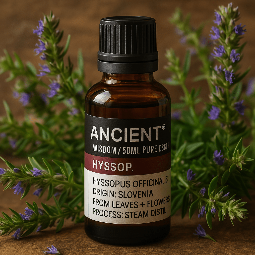 Hyssop Essential Oil 50ml - SHAMTAM.COM