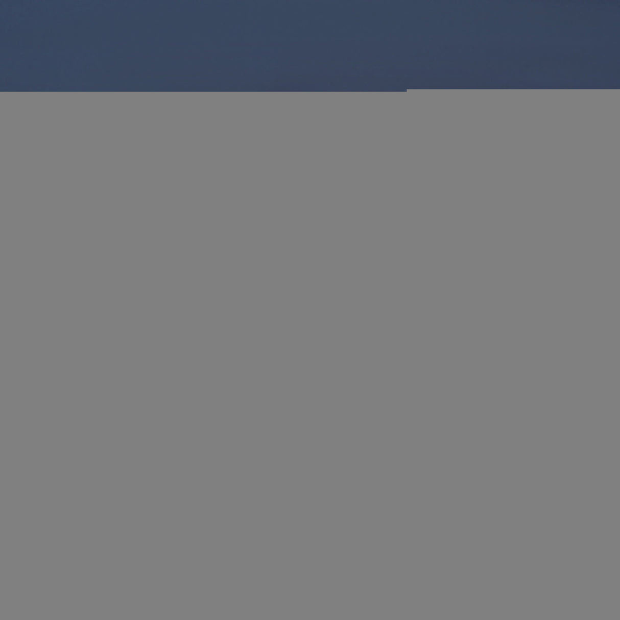 Silicone Ice Face Roller - roller - blue - SHAMTAM.COM