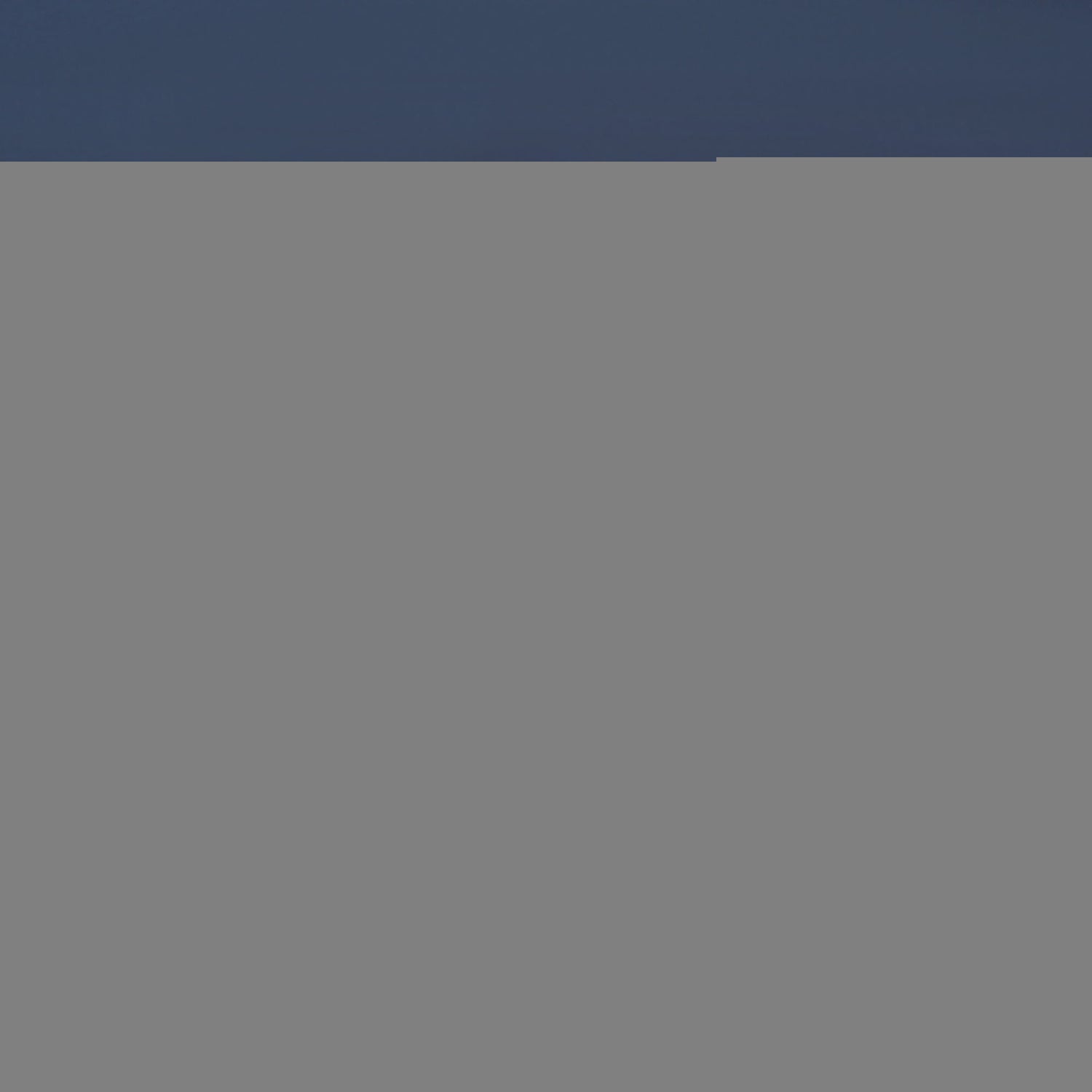 Silicone Ice Face Roller - roller - blue - SHAMTAM.COM