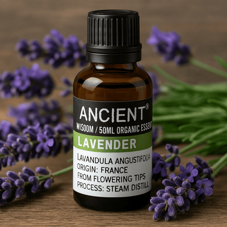 Lavender Essential Oil Organic 50ml - SHAMTAM.COM