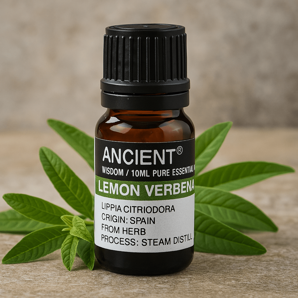 Lemon Verbena Essential Oil 10 ml - SHAMTAM.COM