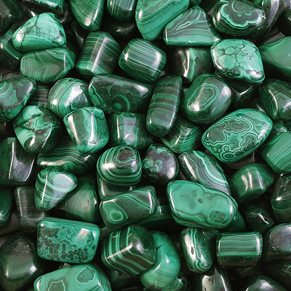 Malachite Tumbled Stones, Pack of 24 - SHAMTAM.COM