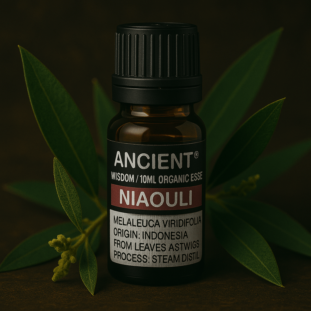 Niaouli Essential Oil 10 ml - SHAMTAM.COM