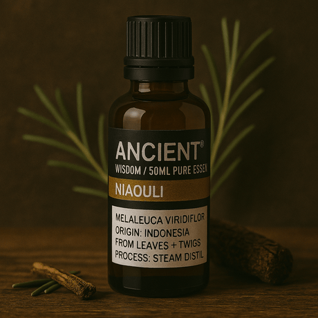 Niaouli Essential Oil 50ml - SHAMTAM.COM