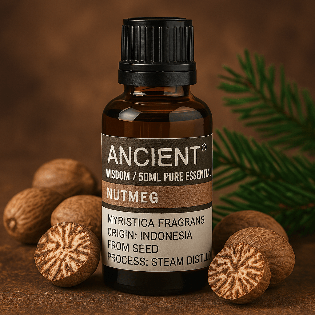 Nutmeg Essential Oil 50ml - SHAMTAM.COM